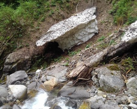 今シーズン初の尺イワナ